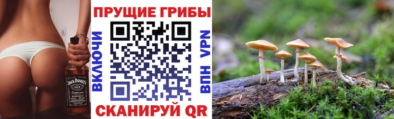 mega как войти  Рыльск  Псилоцибиновые грибы GOLDEN TEACHER 